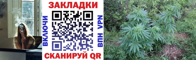Как найти наркотики Новая Ладога Гашиш Каннабис КОКАИН APVP АМФ Меф мяу мяу