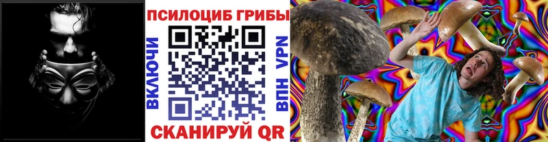 kraken зеркало  Новая Ладога  Галлюциногенные грибы Psilocybe  даркнет сайт 